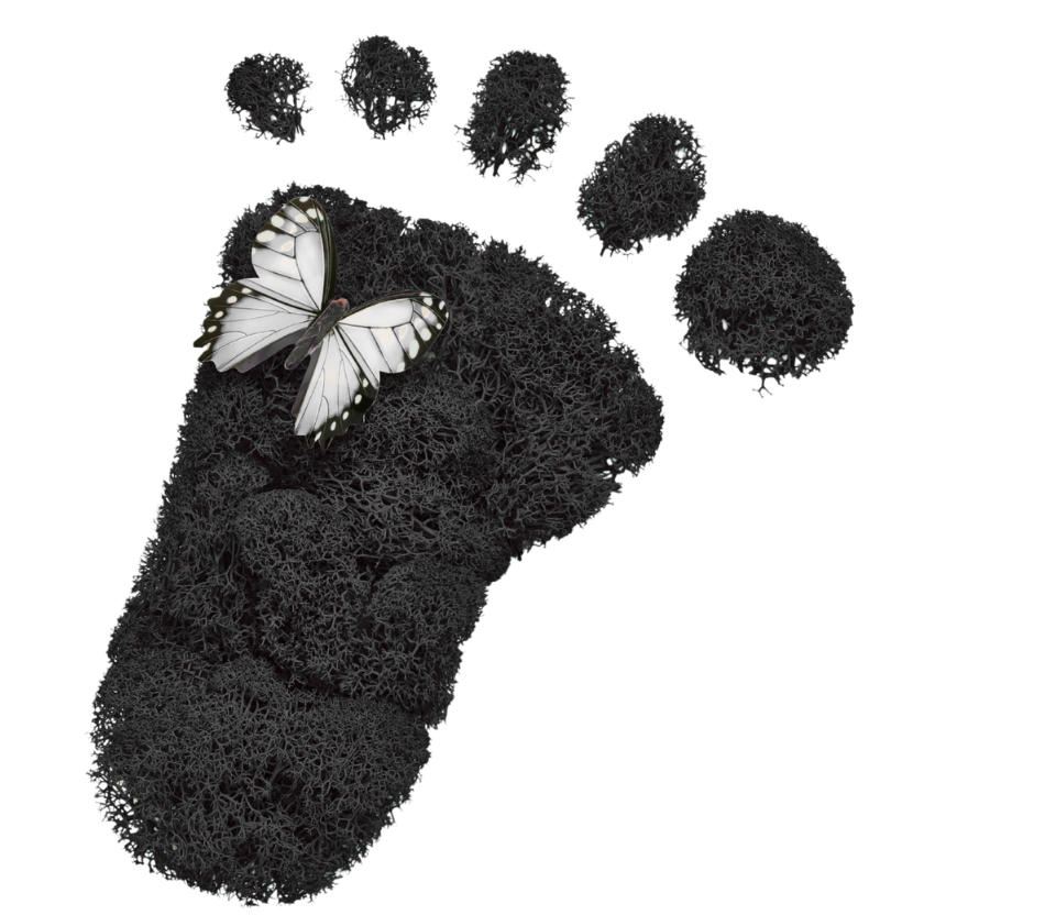 Sustainability (960 x 832 px)